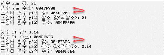 정수 포인터와 실수 포인터