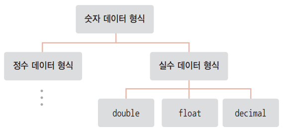 실수 데이터 형식